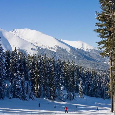 Skiing, Walking, Enjoying In Mountains Bansko Eksteriør billede