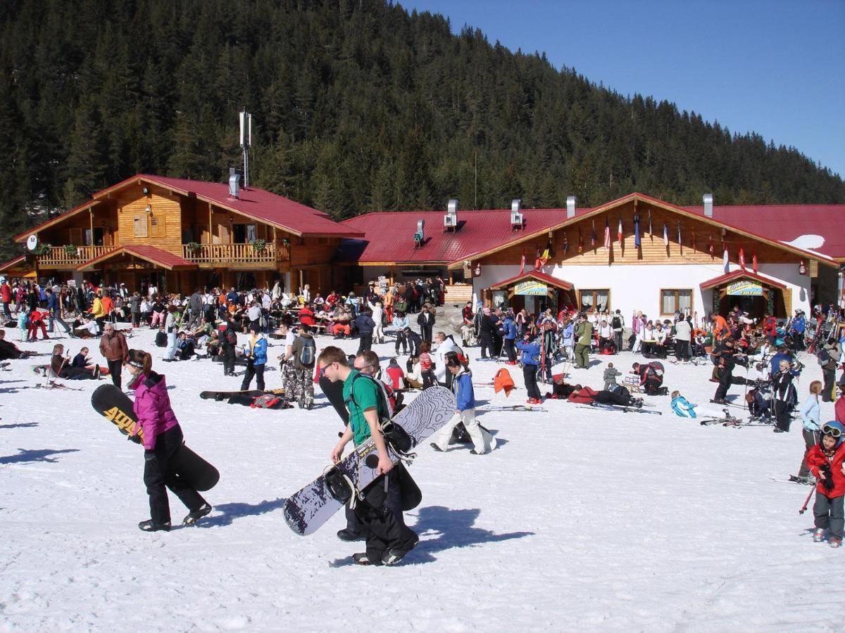 Skiing, Walking, Enjoying In Mountains Bansko Eksteriør billede