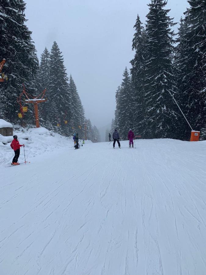 Skiing, Walking, Enjoying In Mountains Bansko Eksteriør billede
