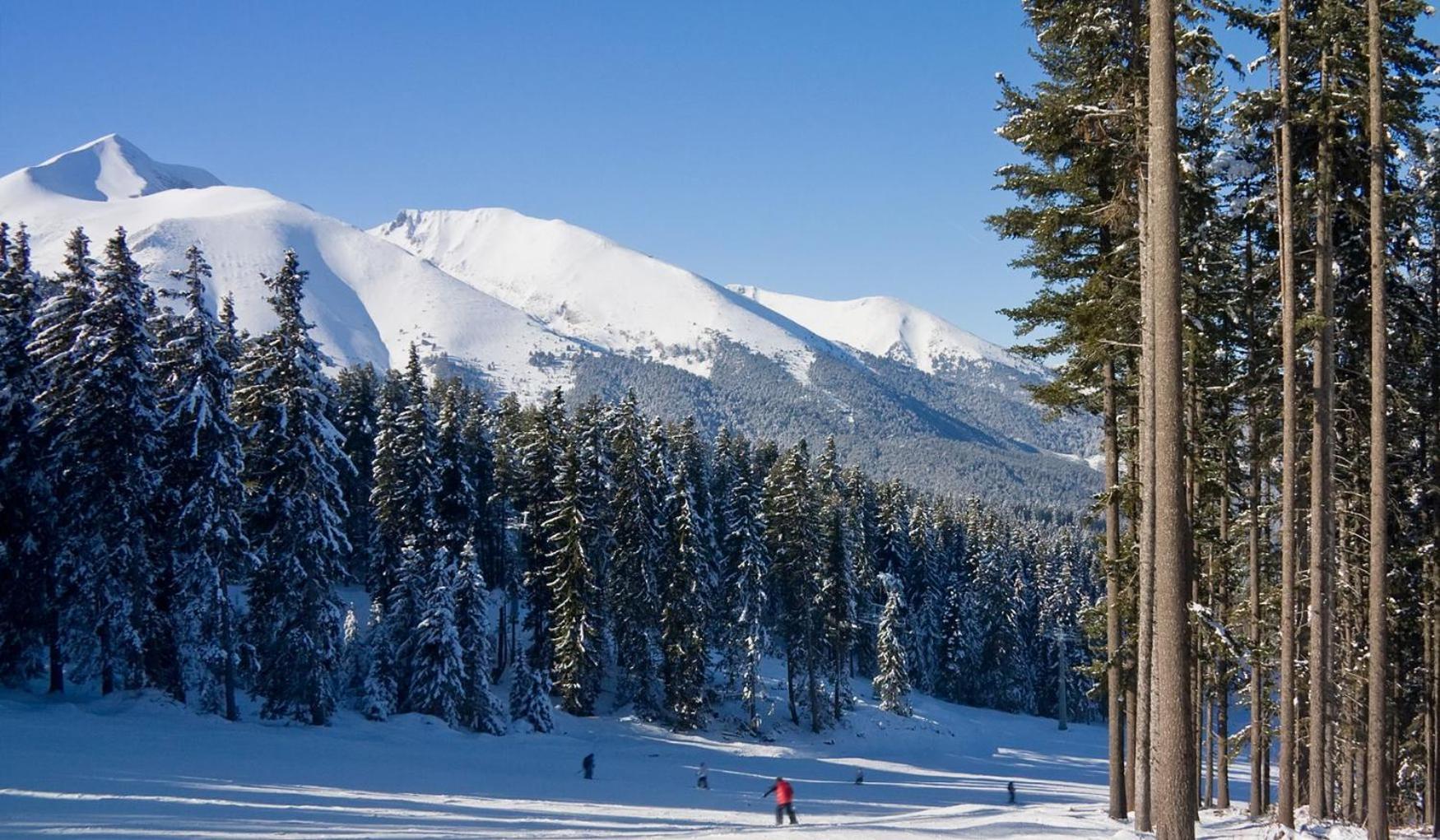 Skiing, Walking, Enjoying In Mountains Bansko Eksteriør billede