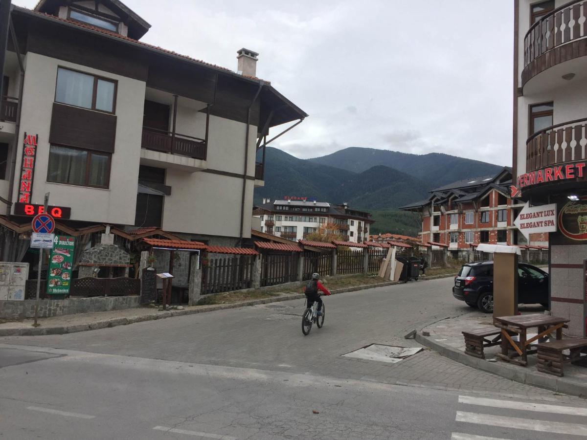 Skiing, Walking, Enjoying In Mountains Bansko Eksteriør billede